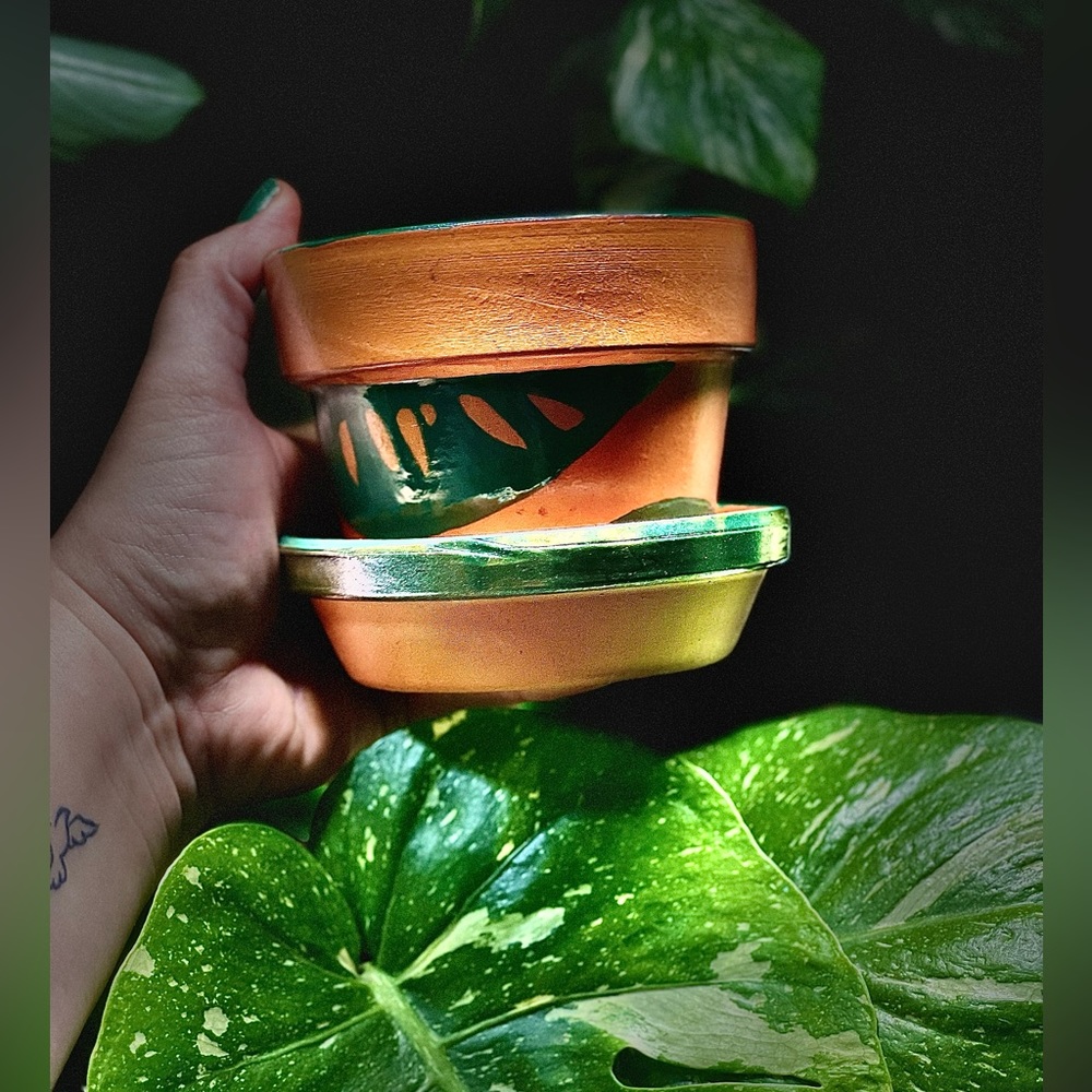 Hand painted plant pot